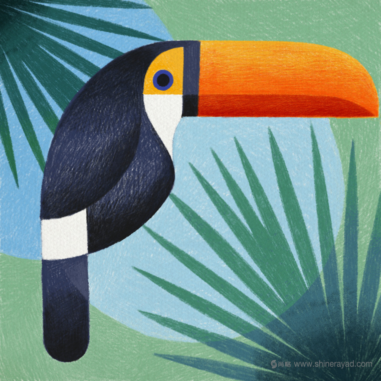 幾何矢量鳥類插畫設計-上海品牌形象設計公司2