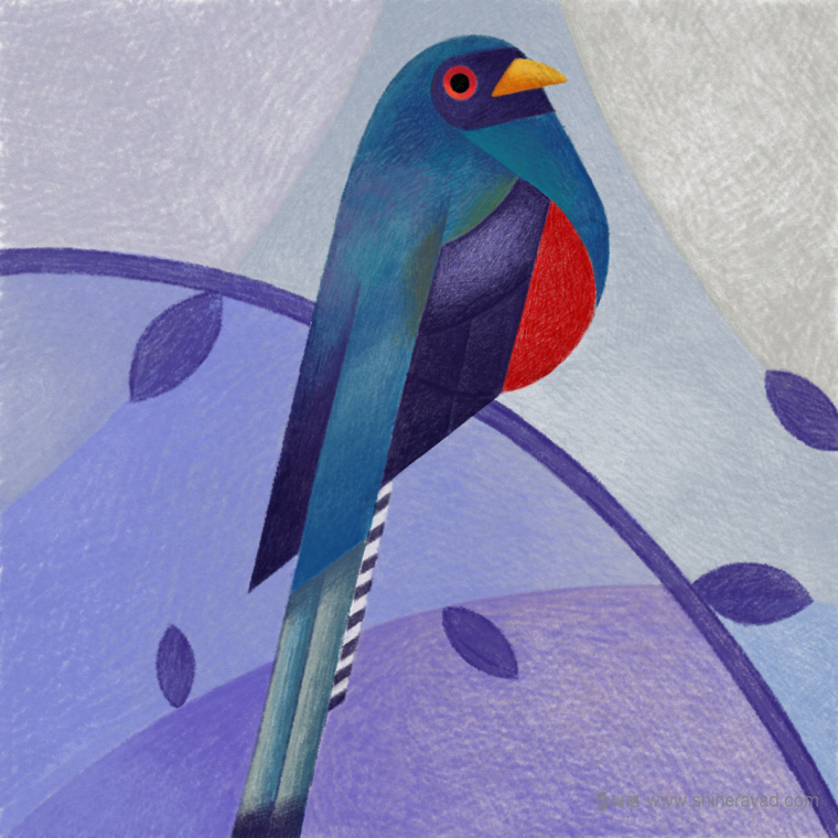 幾何矢量鳥類插畫設計-上海品牌形象設計公司7