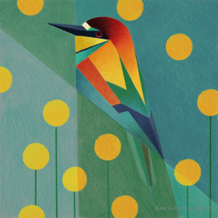 幾何矢量鳥類插畫設計-上海品牌形象設計公司5