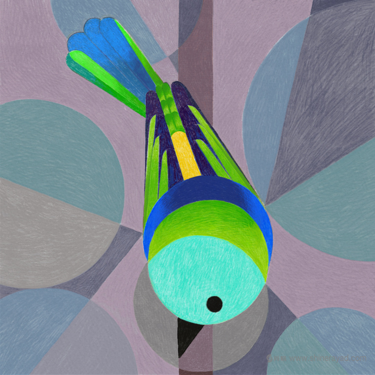 幾何矢量鳥類插畫設計-上海品牌形象設計公司8