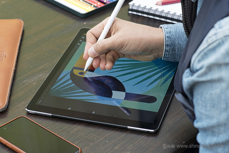 幾何矢量鳥類插畫設計-上海品牌形象設計公司11