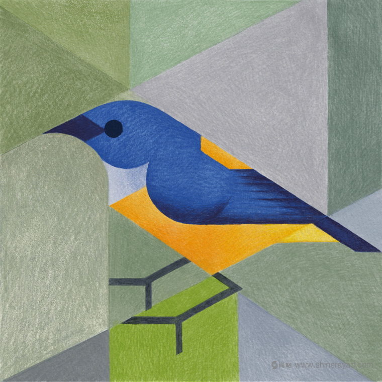 幾何矢量鳥類插畫設計-上海品牌形象設計公司10