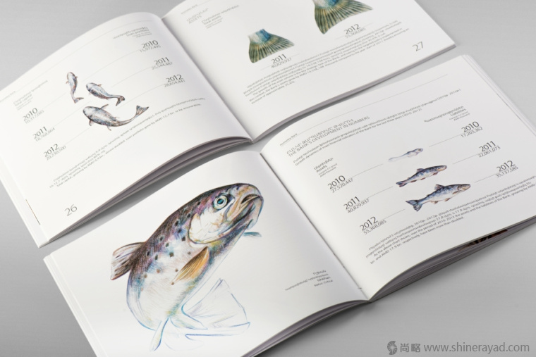 上海畫冊設計公司欣賞拯救瀕臨滅絕動物宣傳畫冊設計與動物藝術插畫設計4