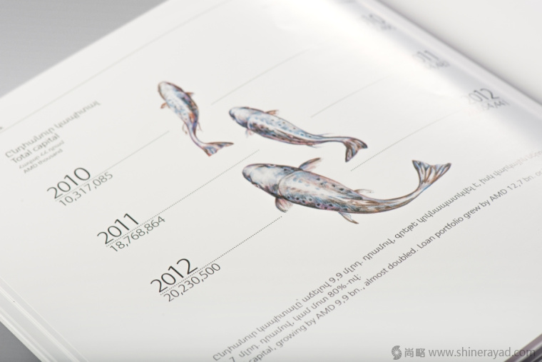 上海畫冊設計公司欣賞拯救瀕臨滅絕動物宣傳畫冊設計與動物藝術插畫設計5