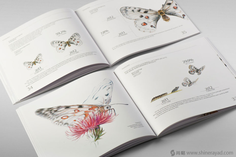 上海畫冊設計公司欣賞拯救瀕臨滅絕動物宣傳畫冊設計與動物藝術插畫設計6