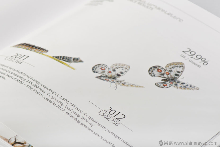 上海畫冊設計公司欣賞拯救瀕臨滅絕動物宣傳畫冊設計與動物藝術插畫設計8