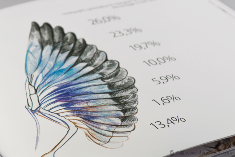 上海畫冊設計公司欣賞拯救瀕臨滅絕動物宣傳畫冊設計與動物藝術插畫設計10