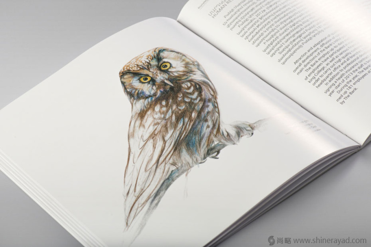 上海畫冊設計公司欣賞拯救瀕臨滅絕動物宣傳畫冊設計與動物藝術插畫設計14