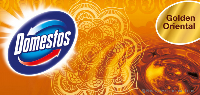 DOMESTOS 3合1廁所馬桶消毒清洗劑標志設計包裝設計-上海標志設計公司-上海包裝設計公司4