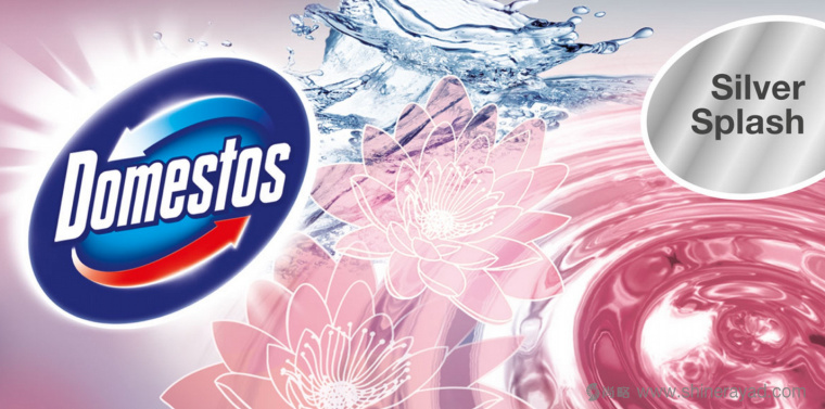 DOMESTOS 3合1廁所馬桶消毒清洗劑標志設計包裝設計-上海標志設計公司-上海包裝設計公司6