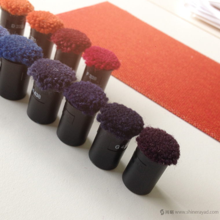 荷蘭 DE BALZAAL 阿珀爾多倫皇家住宅地產LOGO設計品牌形象設計-上海品牌形象設計公司10