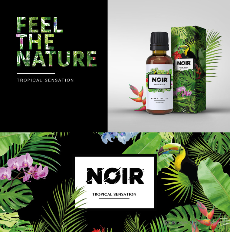 熱帶雨林插畫 NOIR 清潔美容產品化妝品包裝設計與品牌形象設計-上海品牌設計公司3