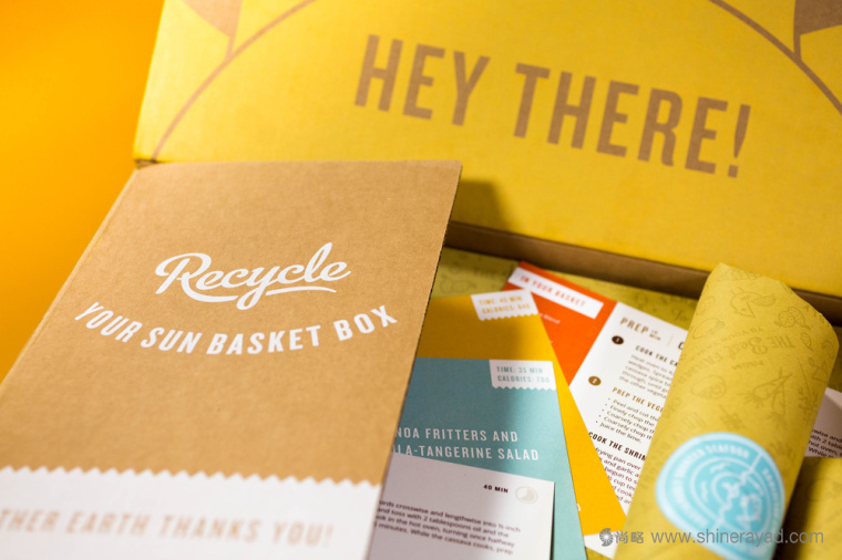 陽光菜籃有機農(nóng)場蔬菜配送快遞服務(wù)品牌VI形象設(shè)計上海VI設(shè)計公司4