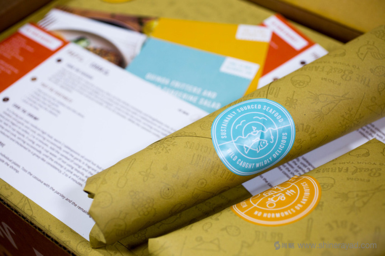 陽光菜籃有機農(nóng)場蔬菜配送快遞服務(wù)品牌VI形象設(shè)計-上海VI設(shè)計公司6