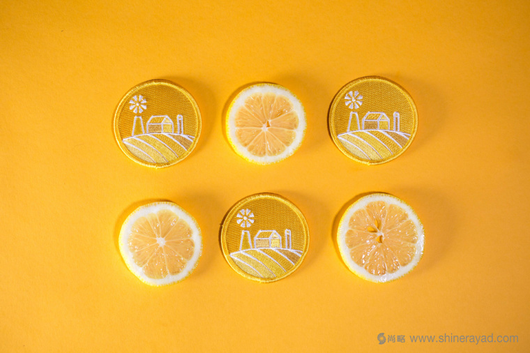 陽光菜籃有機農(nóng)場蔬菜配送快遞服務(wù)品牌VI形象設(shè)計-上海VI設(shè)計公司7