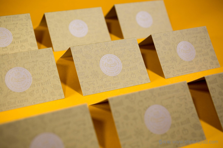 陽光菜籃有機農(nóng)場蔬菜配送快遞服務(wù)品牌VI形象設(shè)計-上海VI設(shè)計公司14