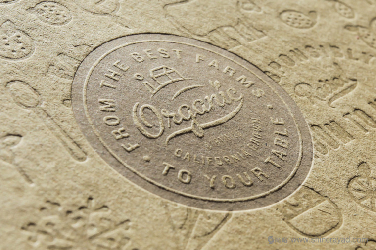 陽光菜籃有機農(nóng)場蔬菜配送快遞服務(wù)品牌VI形象設(shè)計-上海VI設(shè)計公司15