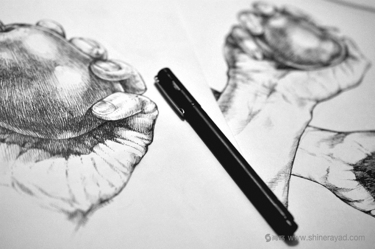 手繪寫意風格 OPRE 蘋果酒包裝設計-上海果酒包裝設計公司4