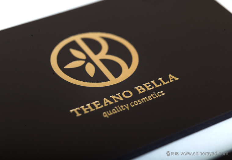 Theano Bella 美容化妝品logo設(shè)計(jì)-上海logo設(shè)計(jì)公司12
