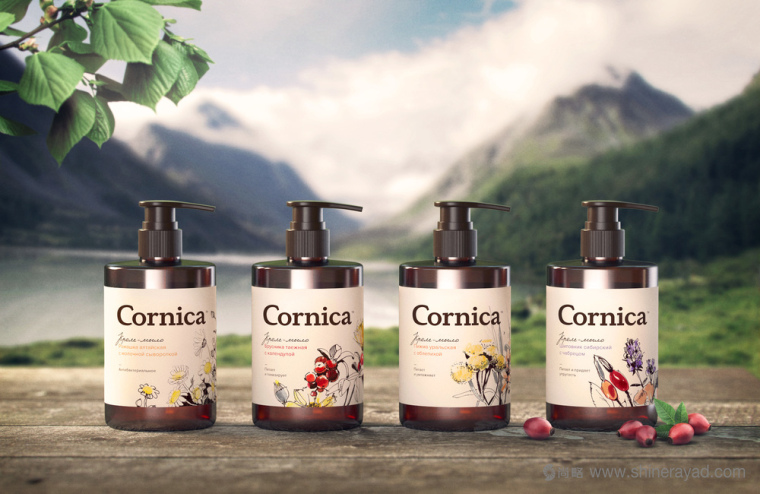 植物素描與水彩插畫CORNICA洗發水沐浴露清潔衛生與天然化妝品包裝設計-上海包裝設計公司6