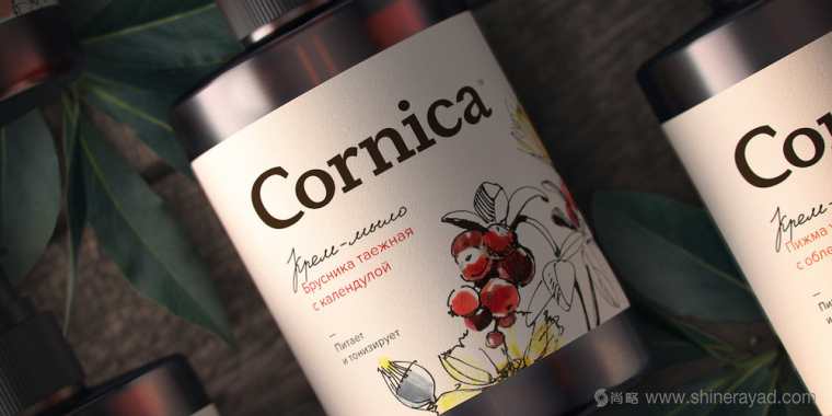 植物素描與水彩插畫CORNICA洗發水沐浴露清潔衛生與天然化妝品包裝設計-上海包裝設計公司1