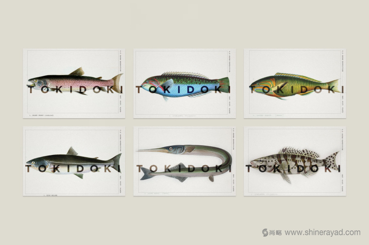 Tokidoki 日式海鮮時尚創意餐廳餐飲logo設計VI設計-上海logo設計公司33