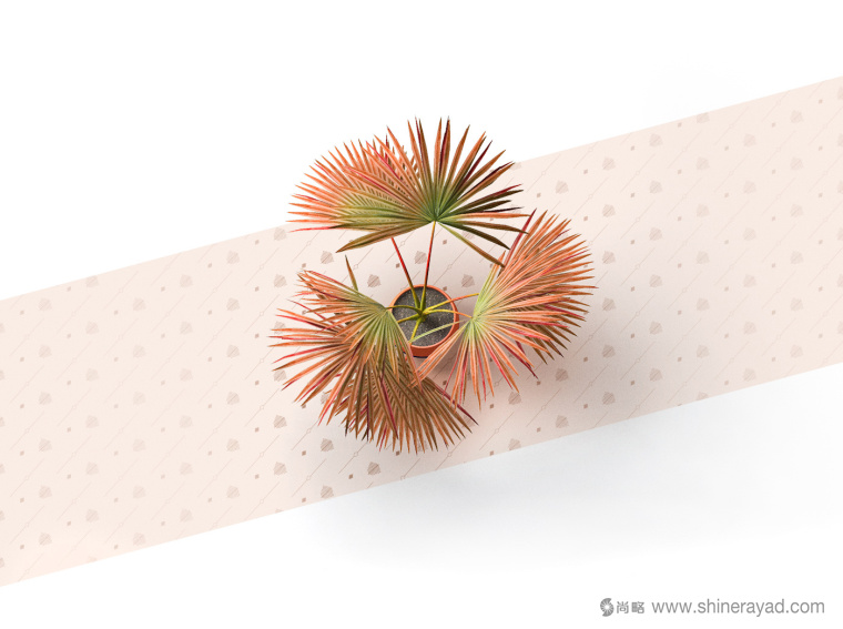 Palmira Group棕櫚樹企業logo設計VI設計-上海品牌VI設計公司5