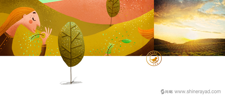 TITEA 伶猴品牌茶葉包裝設計插畫設計-上海包裝設計公司10