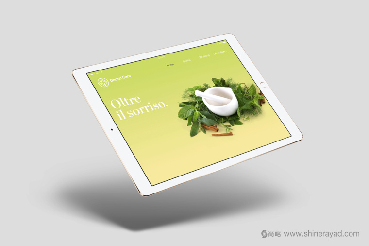 牙科牙醫保健診所網站設計-上海logo設計公司8