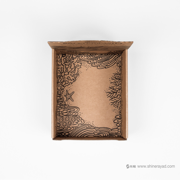 上海海產品包裝設計欣賞：手繪魚插畫風格的BIGGANS 魚醬包裝設計4