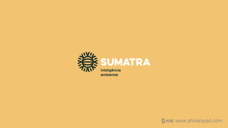 Sumatra 智能安全環境系統logo設計VI設計-上海logo設計5