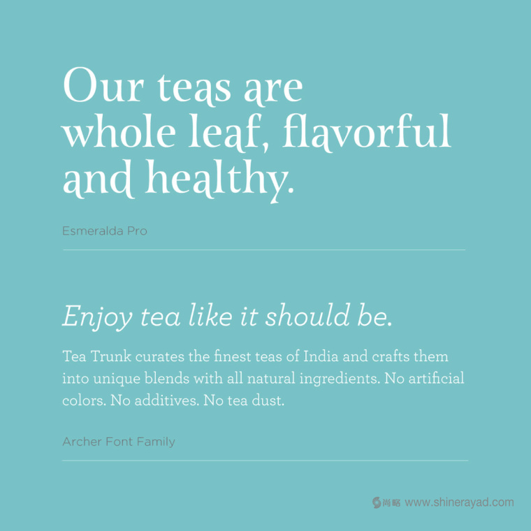 印度 Tea Trunk 茶葉小象卡通形象設(shè)計logo設(shè)計-上海品牌設(shè)計公司3