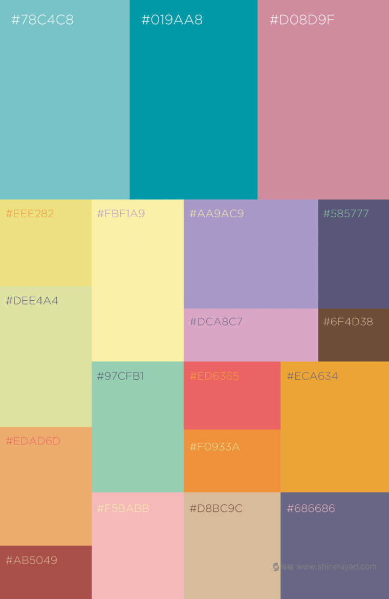 印度 Tea Trunk 茶葉品牌配色設(shè)計-上海品牌設(shè)計公司4