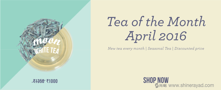 印度 Tea Trunk 茶葉品牌小象吉祥物包裝設(shè)計-上海包裝設(shè)計公司14