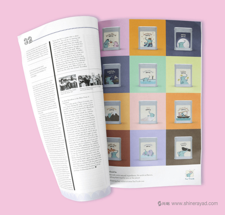 印度 Tea Trunk 茶葉品牌小象吉祥物包裝設(shè)計-上海包裝設(shè)計公司16