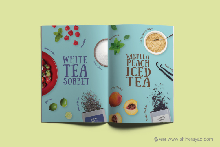 印度 Tea Trunk 茶葉品牌小象吉祥物畫冊設(shè)計-上海畫冊設(shè)計公司2