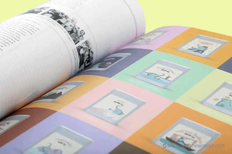 印度 Tea Trunk 茶葉品牌小象吉祥物包裝設(shè)計-上海包裝設(shè)計公司17