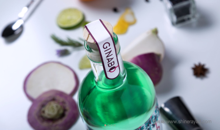 上海包裝設(shè)計(jì)公司設(shè)計(jì)欣賞：蘿卜味Ginabo 杜松子酒包裝設(shè)計(jì)酒標(biāo)設(shè)計(jì)3