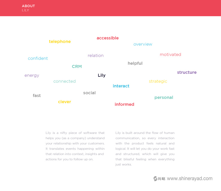 Lily 軟件英文字體logo設計字體標準制圖設計-上海logo設計公司設計培訓2