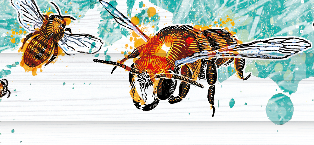 Abelha 有機甘蔗酒禮盒包裝設計蜜蜂插畫設計-上海包裝設計公司1