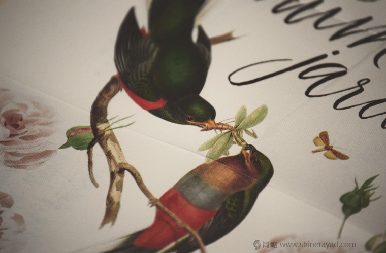 國外婚禮邀請函物料花鳥插畫設計藝術設計-上海品牌策劃設計公司10