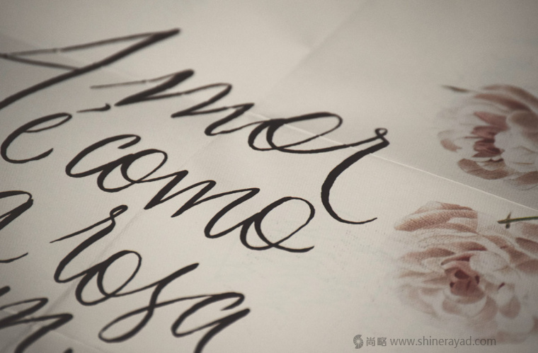 國外婚禮邀請函物料花鳥插畫設計藝術設計-上海品牌策劃設計公司11