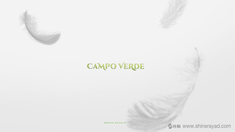 Campo Verde 雞蛋農(nóng)場(chǎng)logo設(shè)計(jì)VI設(shè)計(jì)-上海logo設(shè)計(jì)公司1