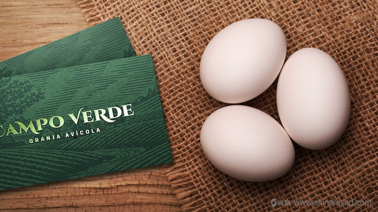Campo Verde 雞蛋農(nóng)場(chǎng)logo設(shè)計(jì)VI設(shè)計(jì)-上海logo設(shè)計(jì)公司3