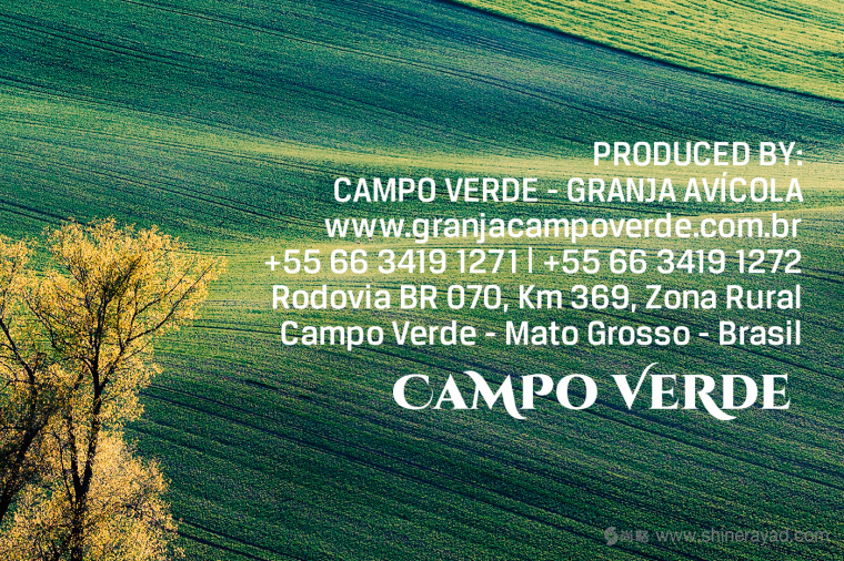 Campo Verde 雞蛋農(nóng)場(chǎng)logo設(shè)計(jì)VI設(shè)計(jì)-上海logo設(shè)計(jì)公司4