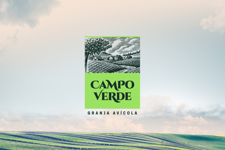 雞蛋主視覺(jué)插畫(huà)設(shè)計(jì)與雞蛋包裝設(shè)計(jì)-上海包裝設(shè)計(jì)公司2