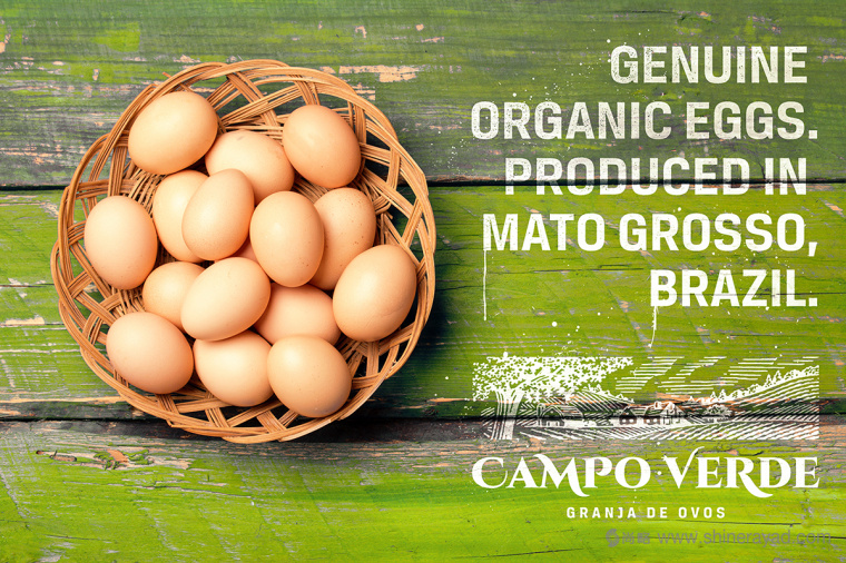 雞蛋主視覺(jué)插畫(huà)設(shè)計(jì)與雞蛋包裝設(shè)計(jì)-上海包裝設(shè)計(jì)公司5