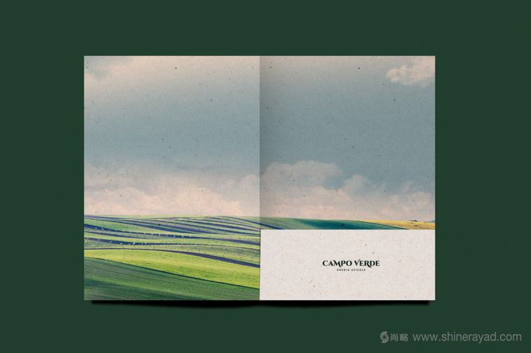 Campo Verde 雞蛋農(nóng)場(chǎng)logo設(shè)計(jì)VI設(shè)計(jì)-上海logo設(shè)計(jì)公司8