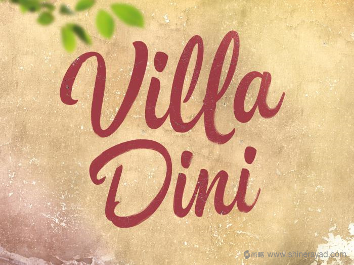 上海包裝設計-Villa Dini 水墨風格水果飲料包裝設計-logo設計2
