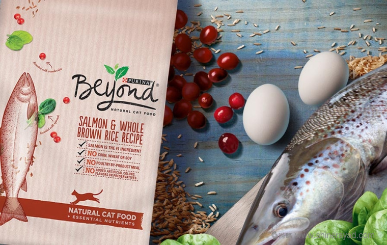 Going Beyond 普瑞納寵物食品包裝設計-上海包裝設計公司3